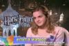 Thumb_msnbc 2005 3